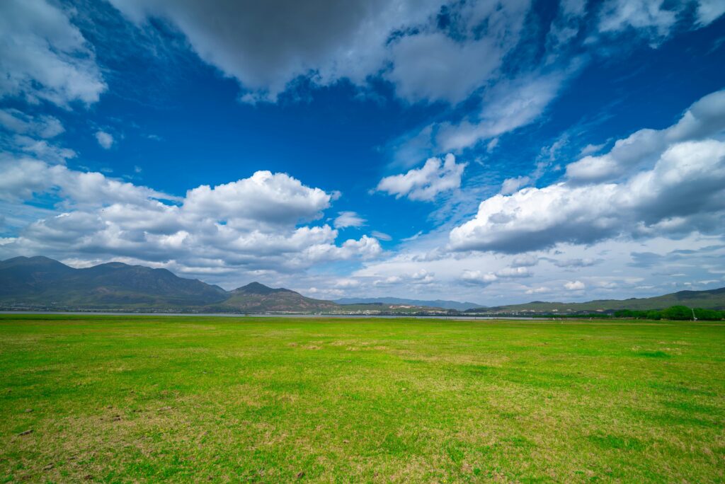 Expansive green field with distant mountains beneath a vibrant blue sky and fluffy clouds.
